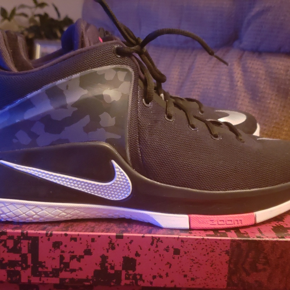 Lebron Zoom Witness